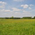 Pur nature