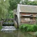 Sint-waltrudismolen-herne.